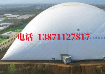 调楼镇气膜棚卷帘门,电动门